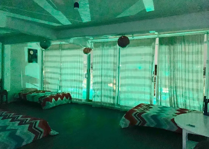 Terraza Coyoacan Hostel Mexico City
