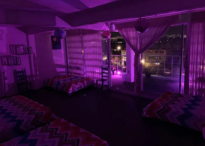 Terraza Coyoacan Hostel Mexico City